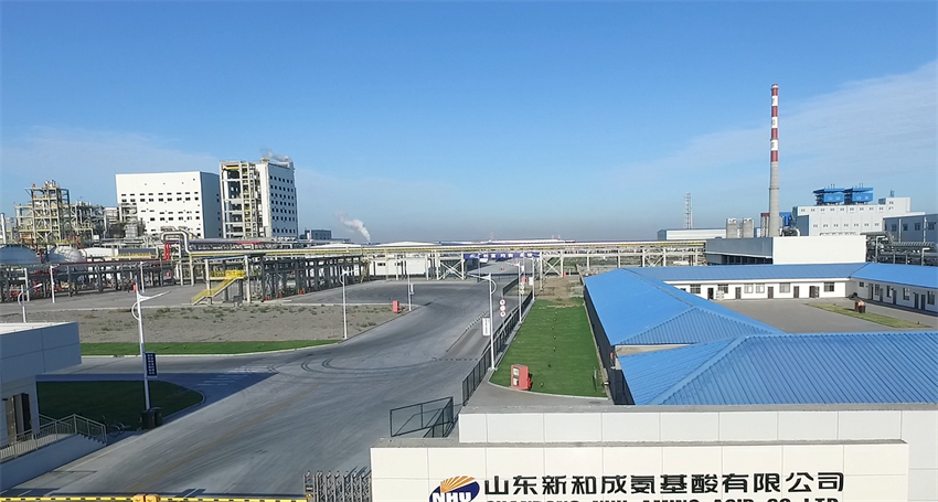 山东新和成药业有限公司 - 副本.jpg